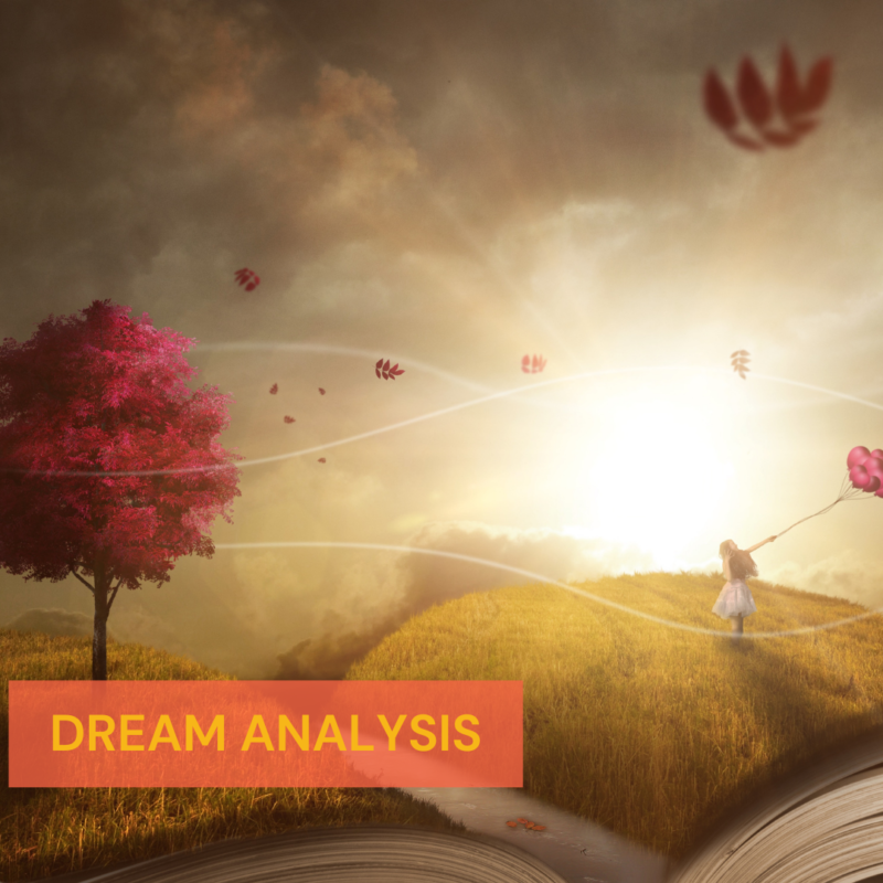 DREAM ANALYSIS