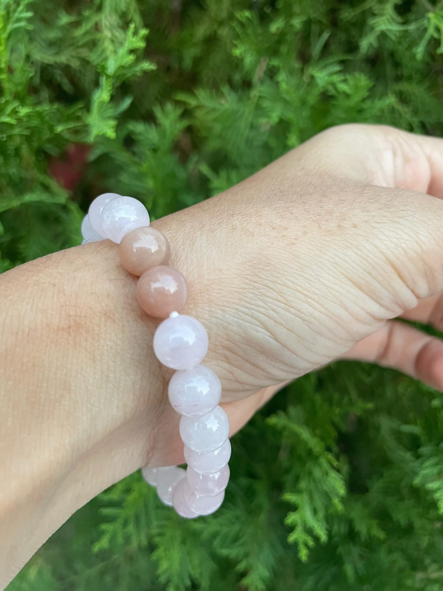 IMG-20240926-WA0058-1536×2048