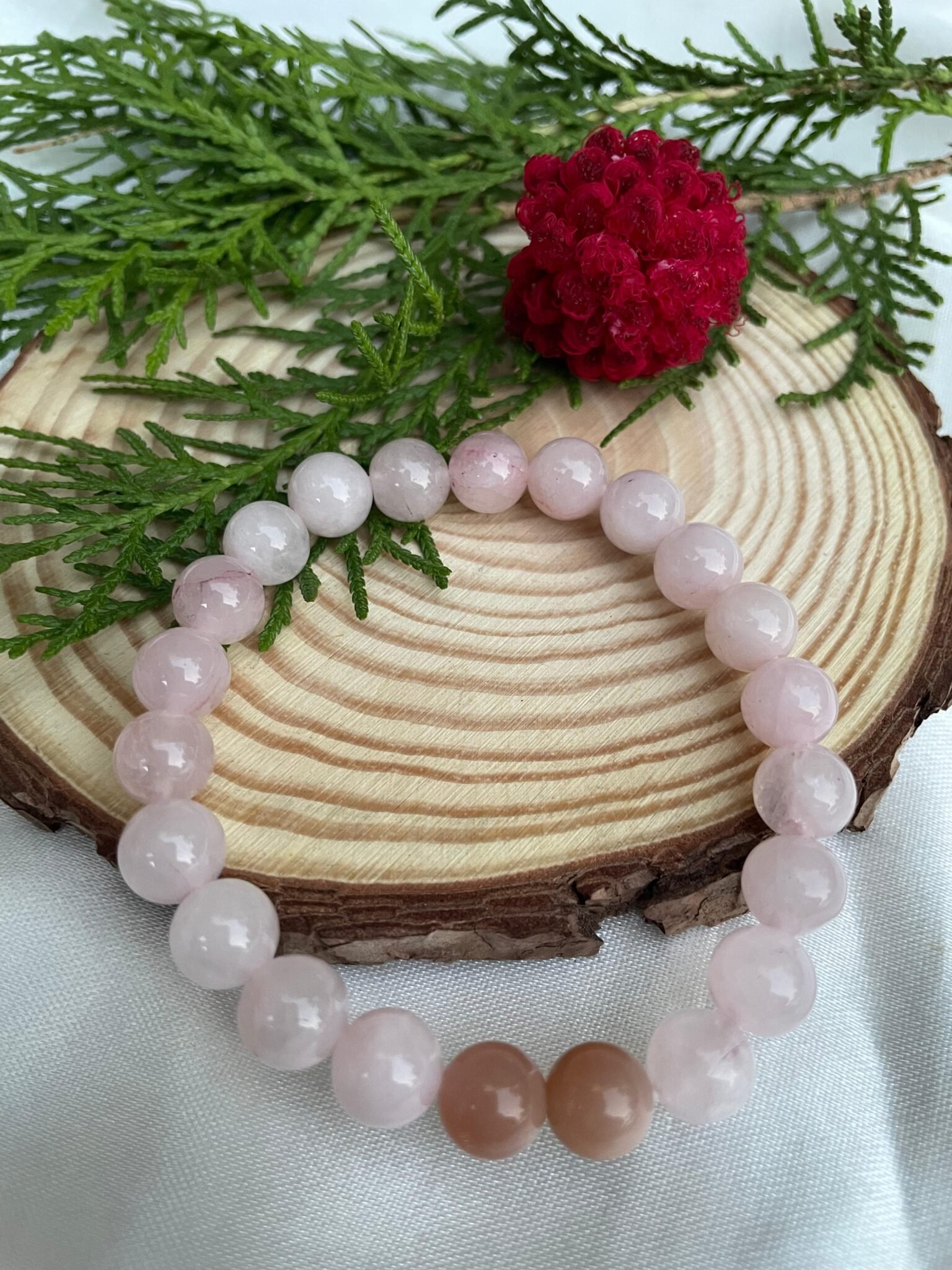 IMG-20240926-WA0059-1536×2048